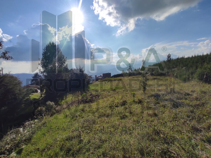 Terreno disponible para Venta en Medellin Las Palmas Foto numero 1